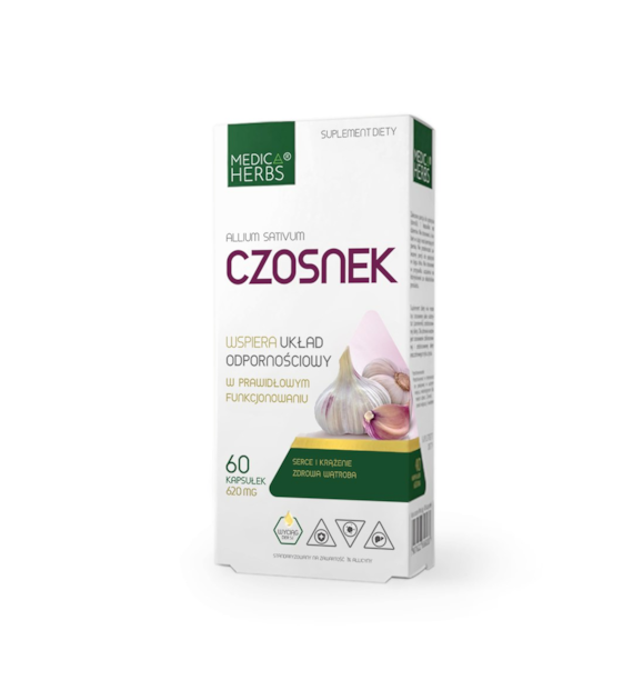 Czosnek
