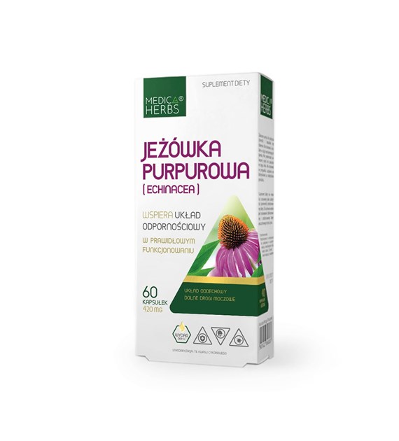 Jeżówka purpurowa (Echinacea)