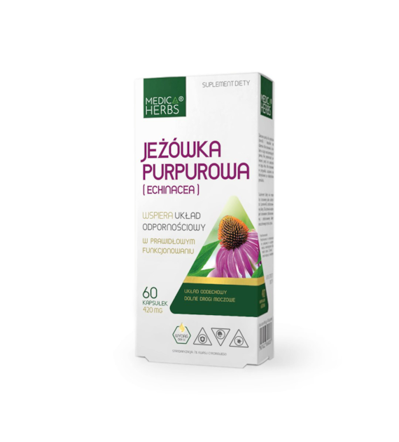 Jeżówka purpurowa (Echinacea)
