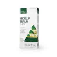 Morwa biała (1-DNJ)