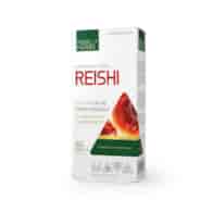 Reishi (Ganoderma lucidum)