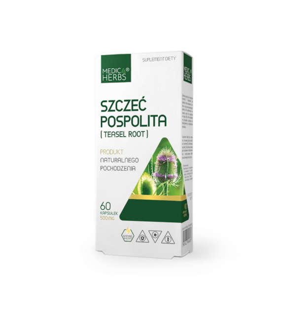 Szczeć Pospolita (Teasel Root)