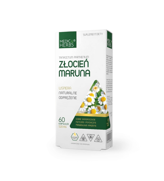 Złocień maruna